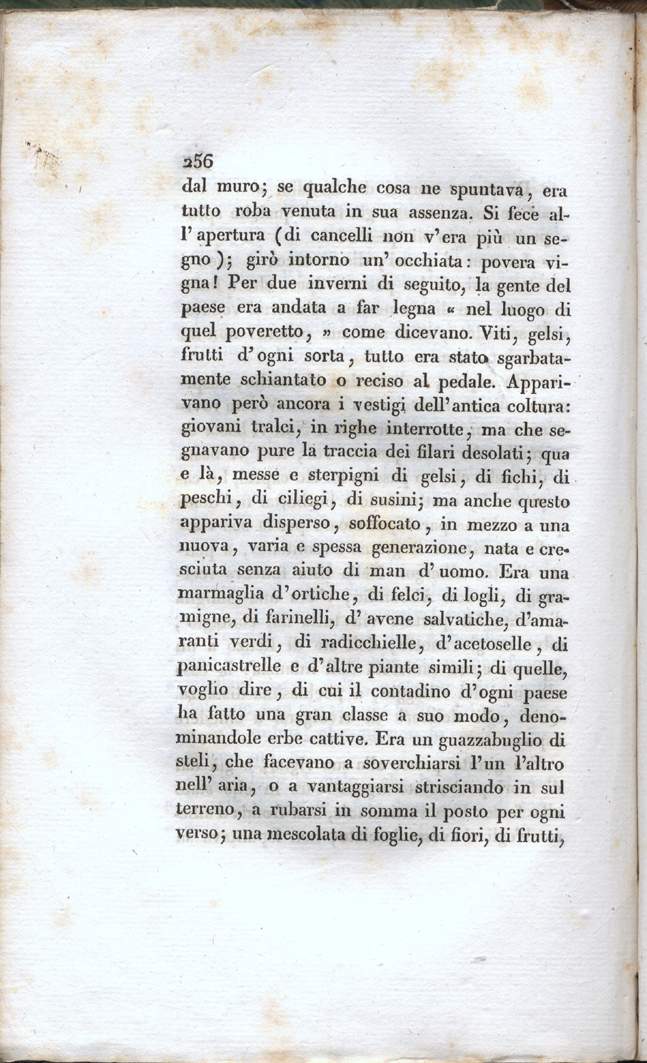 256